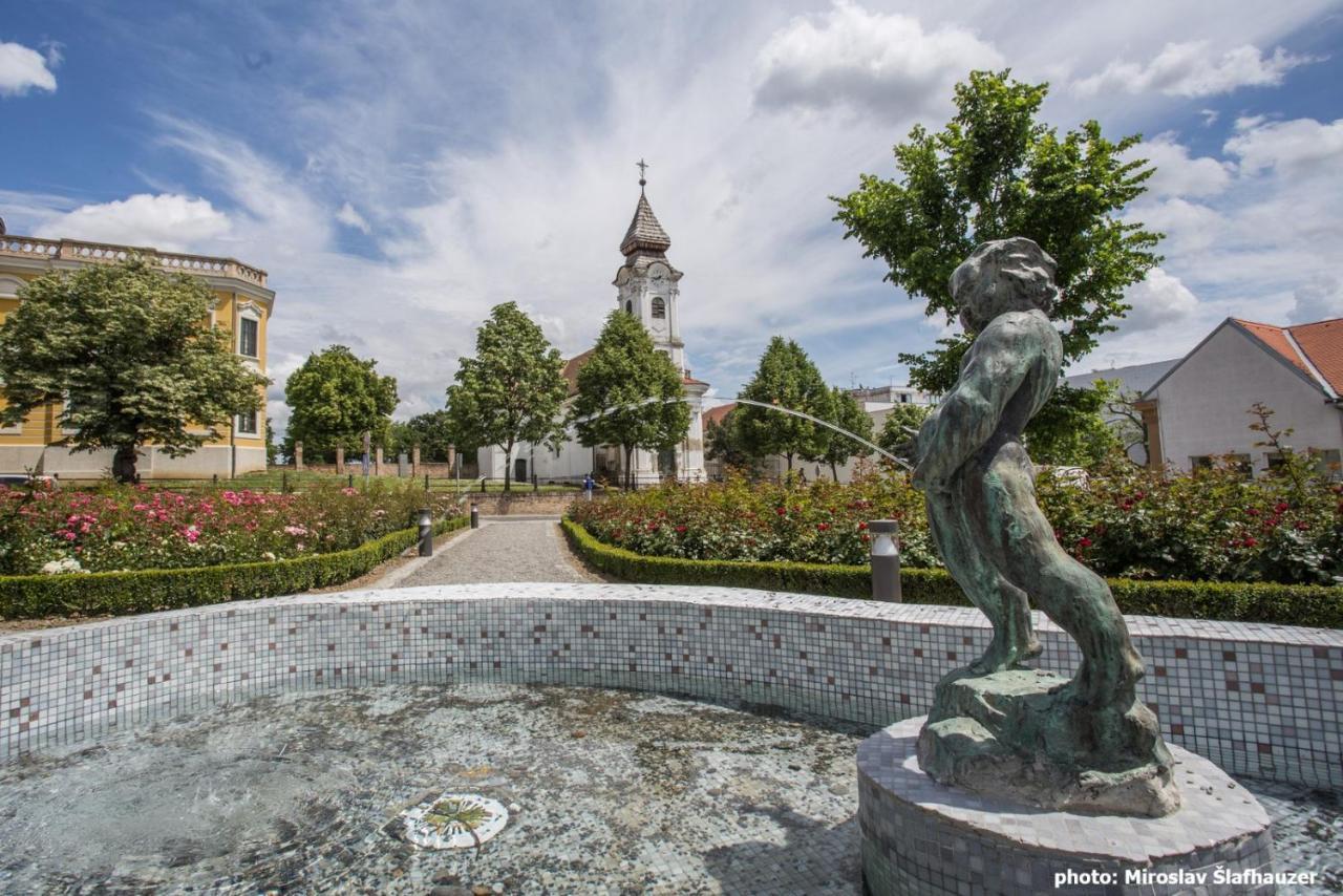 Vila Rosa Vukovar Bed and Breakfast Esterno foto