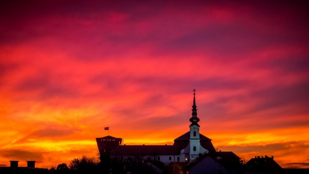 Vila Rosa Vukovar Bed and Breakfast Esterno foto