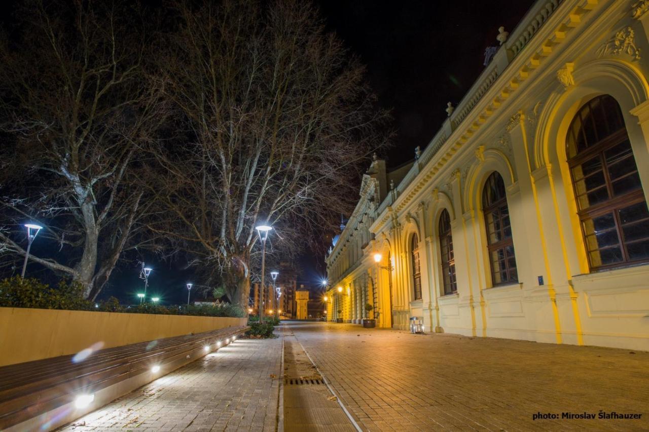 Vila Rosa Vukovar Bed and Breakfast Esterno foto